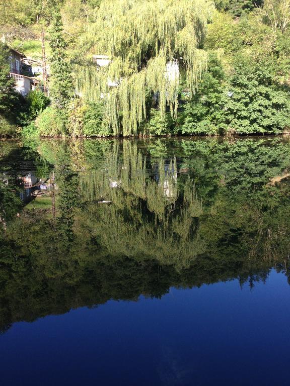 Mon Plaisir - Chambres D'Hotes Villefranche-de-Rouergue Bagian luar foto